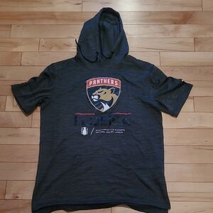 Fanatics Authentic Pro Flordia Panthers 2024 Stanley Cup Playoffs Gray Hoodie
